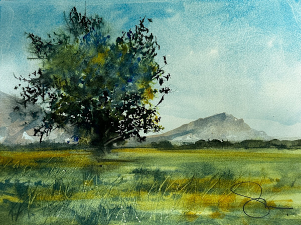 The Introvert by Steve Griggs Watercolor