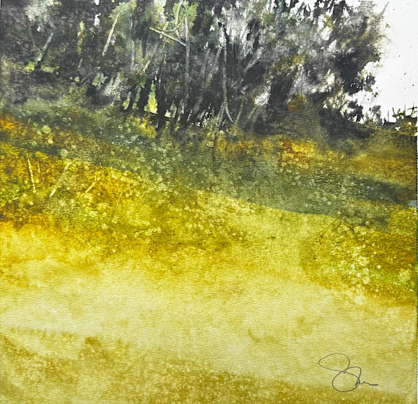 Wonderment by SteveGriggsWatercolor