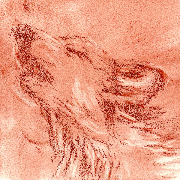 Gather - Embers of the Wild by David Herman