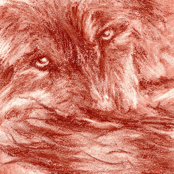 Watch - Enduring Vigil by David Herman