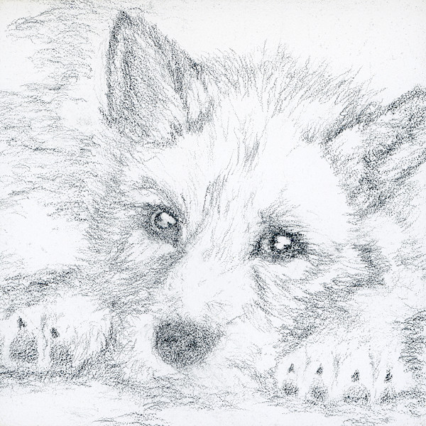 Raise - Resting Young by David Herman