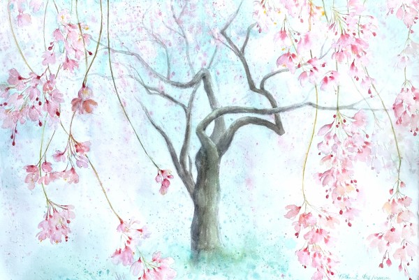 Weeping cherry tree by Tati Tung