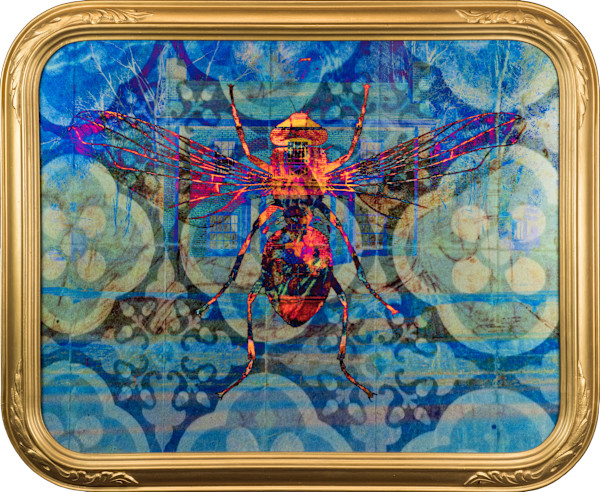 Bug's Life by Cynthia Wagner - Artist, Image 1.