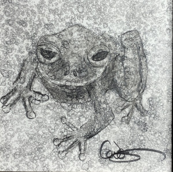 Frog II by Jeanne Levasseur