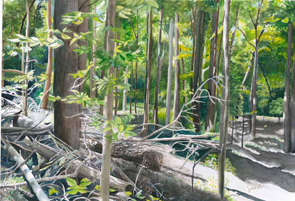Huntington Woods by Janealla Killebrew, Image 1.