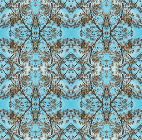 Catarina pines pattern (Tiffany blue sky) by Denise Wamaling