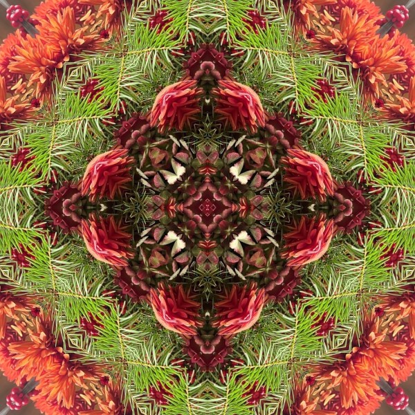 Pine, Lobby Flowers series by Denise Wamaling