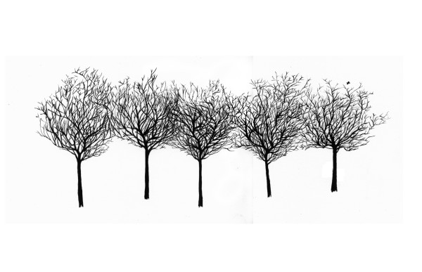 Five Trees by Jo Davis