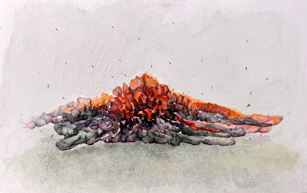 Mound by Jo Davis