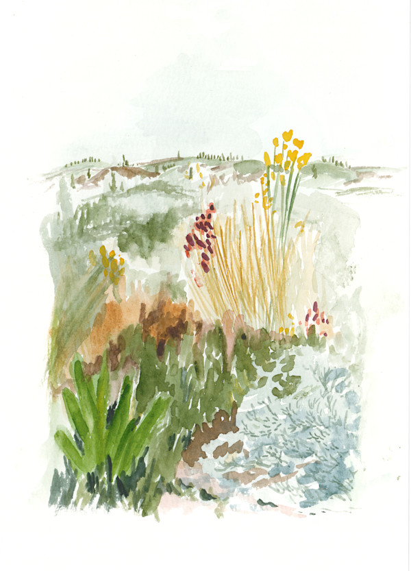Tuscany Study 2 by Jo Davis
