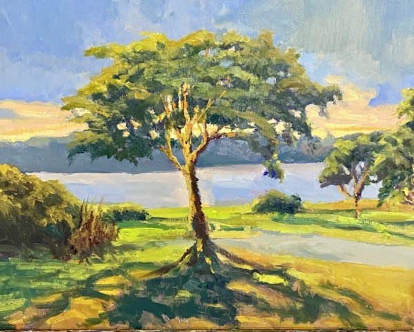 Lake Guntersville Tree at Sunset by Trevor  Thomas