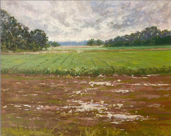 Soybean Field After Rain by Trevor Joseph Thomas
