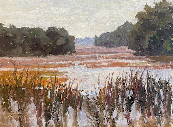 Overcast Wetlands by Trevor  Thomas