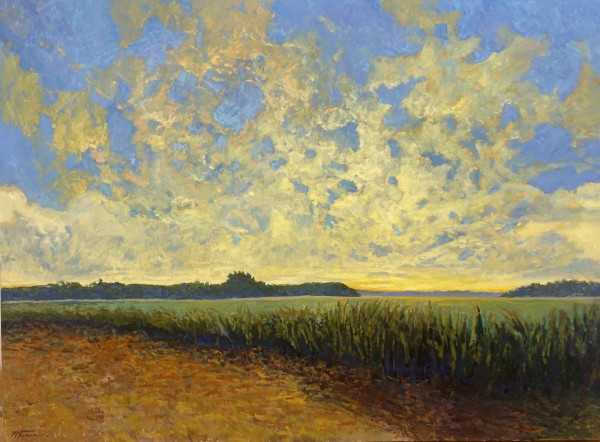 Alabama Golden Sky by Trevor  Thomas