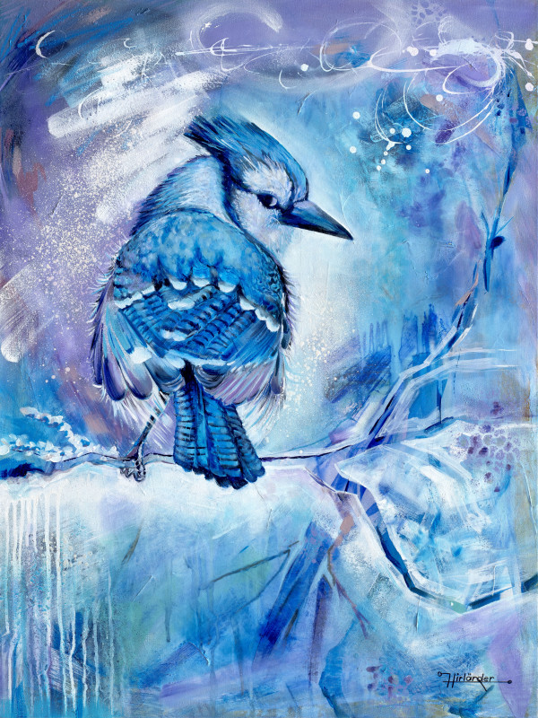 Blue Jay by Ursula Hirländer