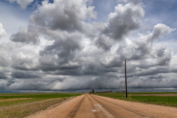Country Road After Rain by Denise Hawkins