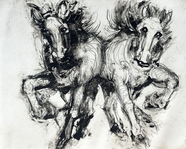 Here They Come: A Team in the Year of the Horse, 1/2 by Annie Shaver-Crandell, Image 1.
