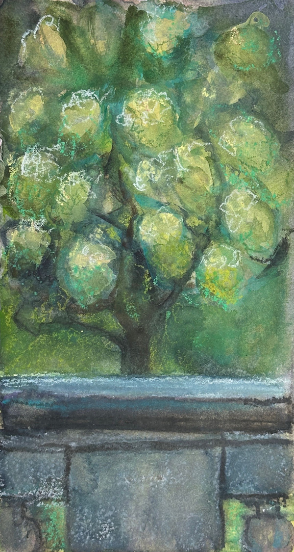 Late-Blooming Hydrangea: Elizabeth Street Garden by Annie Shaver-Crandell, Image 1.