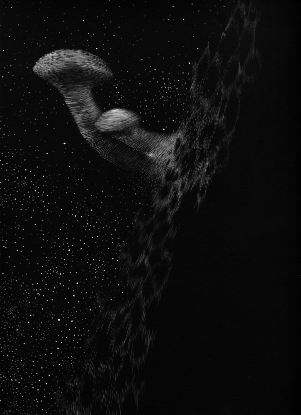 021420 - Series: Patterns of Change by Bea Ortiz