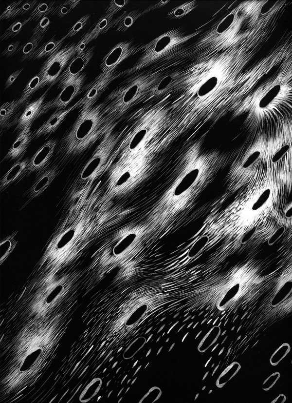 021720 - Series: Patterns of Change by Bea Ortiz
