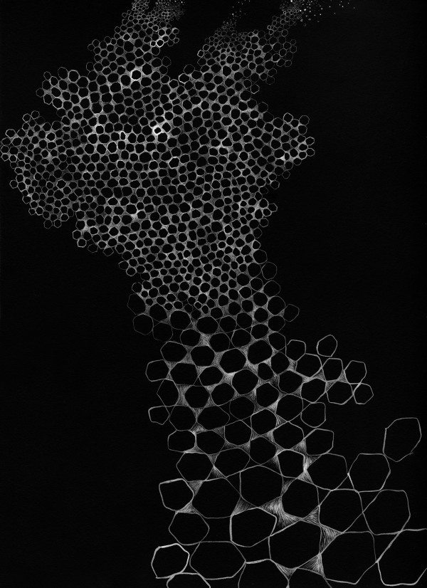 022020 - Series: Patterns of Change by Bea Ortiz