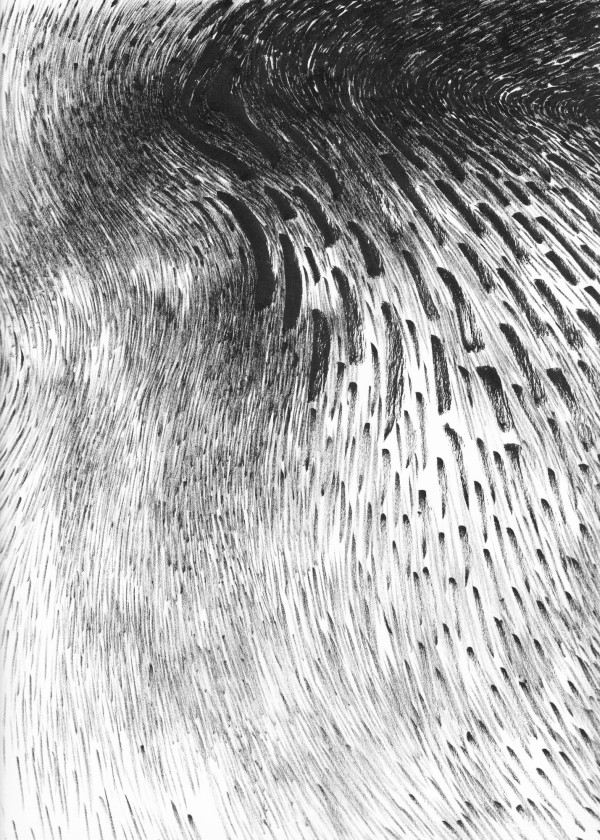 041011 - Series: Patterns of Change by Bea Ortiz