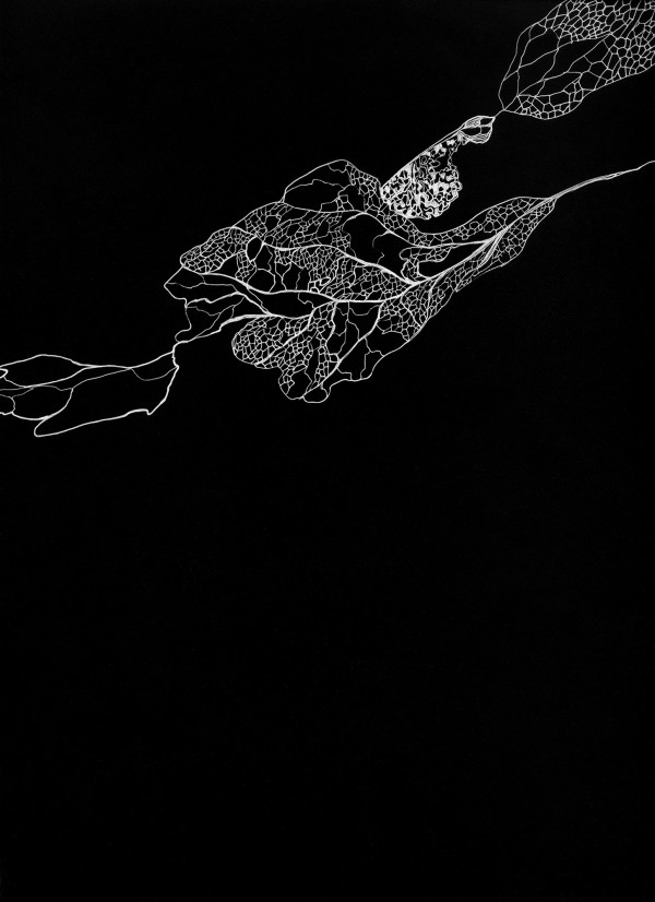 051820 - Series: Patterns of Change by Bea Ortiz