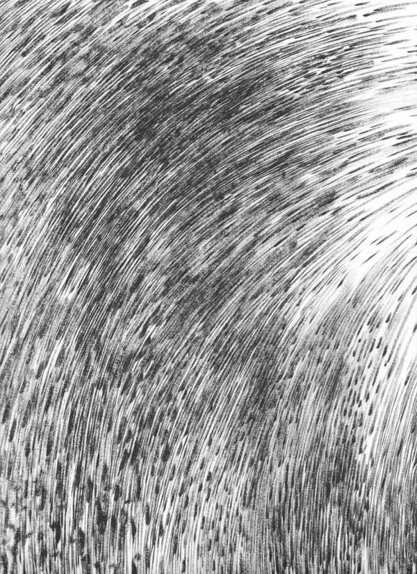 060714 - Series: Patterns of Change by Bea Ortiz