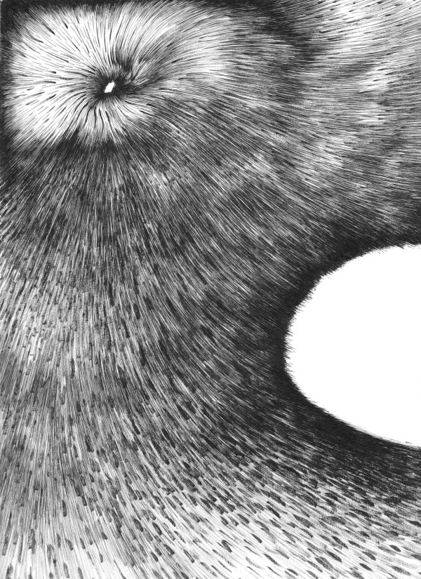 061314 - Series: Patterns of Change by Bea Ortiz