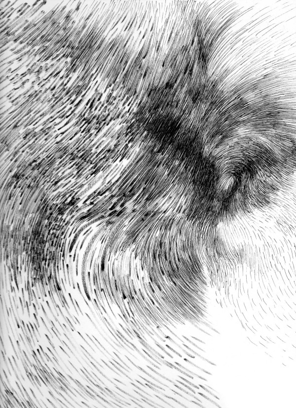 070811 - Series: Patterns of Change by Bea Ortiz