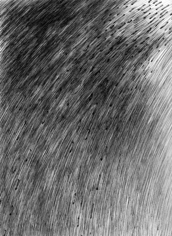 092113 - Series: Patterns of Change by Bea Ortiz