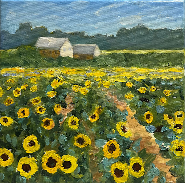 Sunflower Field by Jean Rupprecht