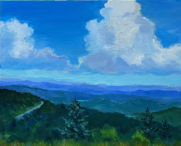 Linville Cove Overlook by Jean Rupprecht
