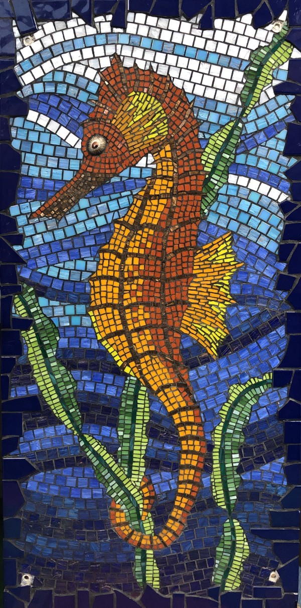Sebastian the Seahorse by Madeleine Elkin