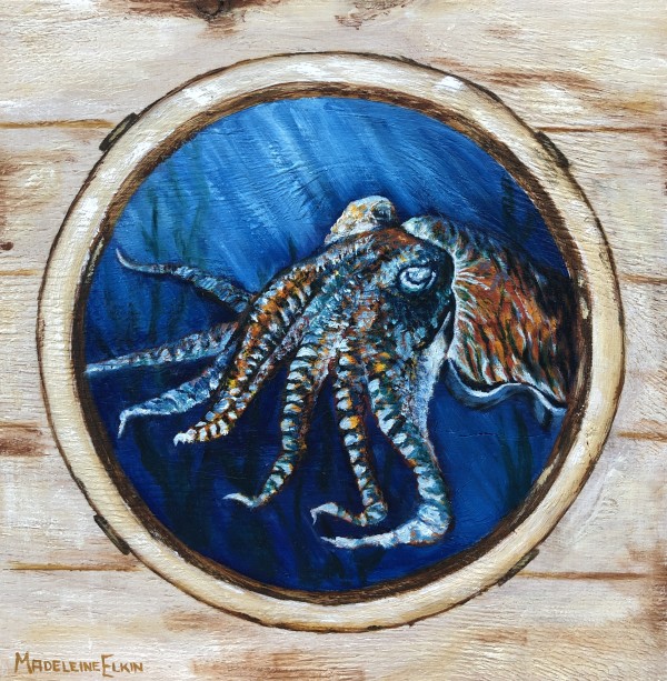 In Disguise by Madeleine Elkin