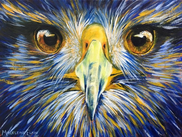 Eagle Eyes Blue by Madeleine Elkin