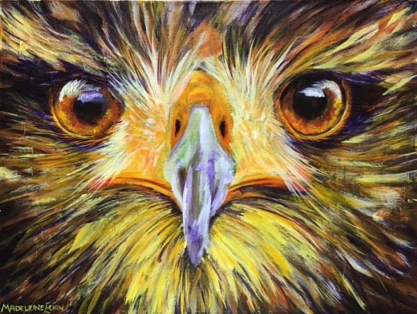 Eagle Eyes by Madeleine Elkin