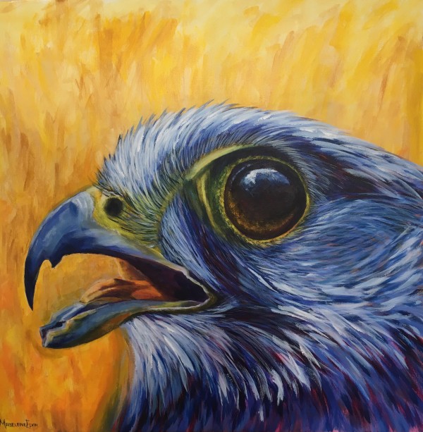 Raptor by Madeleine Elkin