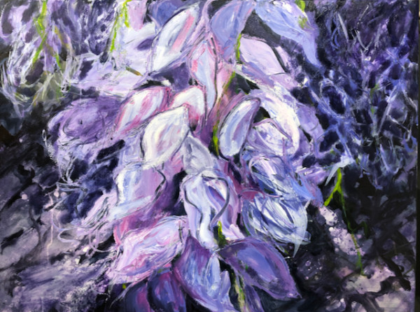 Wisteria Cascade by Madeleine Elkin