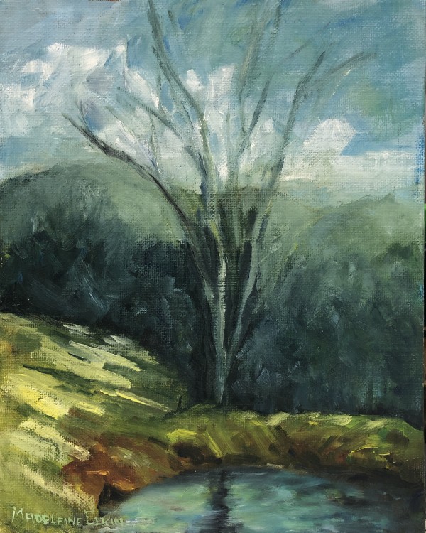 Watering Hole, Deep Creek I by Madeleine Elkin