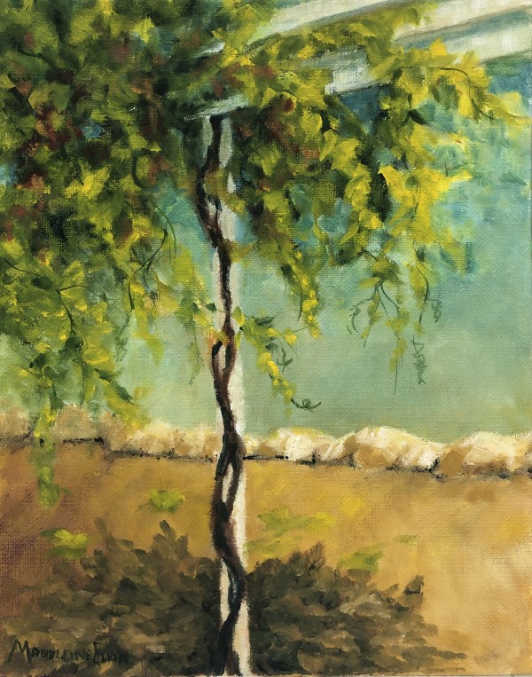 Tania’s Vine by Madeleine Elkin