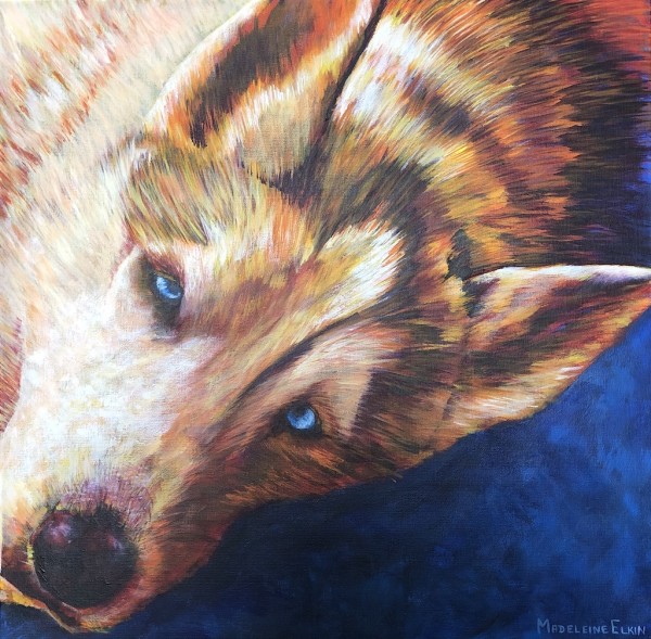 Koda by Madeleine Elkin
