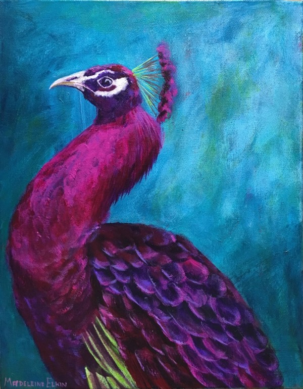 Pretty as a Peacock by Madeleine Elkin