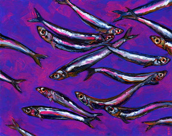 Anchovies by Rhys Nguyen, Image 1.