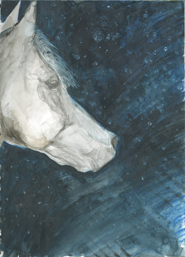 2002 Year of the Horse Study 4 by laura-leigh