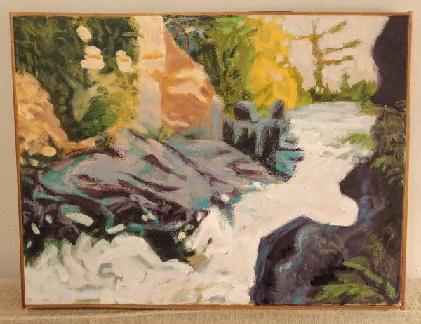 Rapids at Dave's Falls by Liz Ann Lange