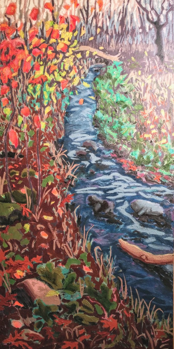 Parfrey's Glen Creek by Liz Ann Lange