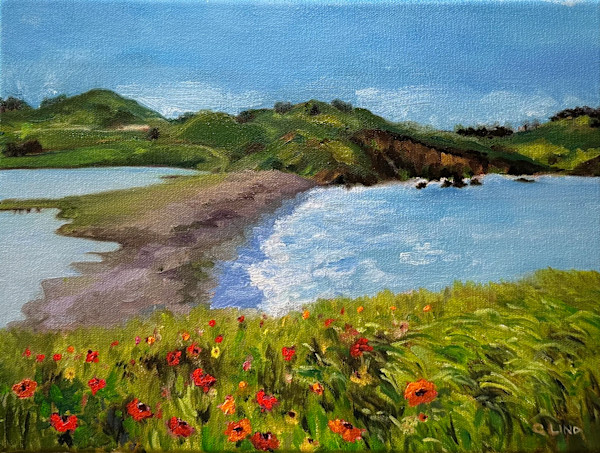 Marin Poppies by Chrissy Lind