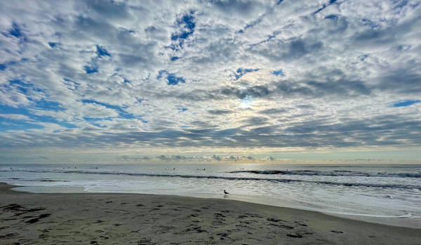 A Little Bird Whispered in my ear by Chrissy Lind