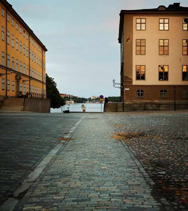 Wrangelska backen by August Eriksson